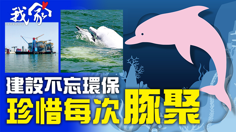 (荃灣葵青離島)爆建設不忘環保 珍惜每次豚聚