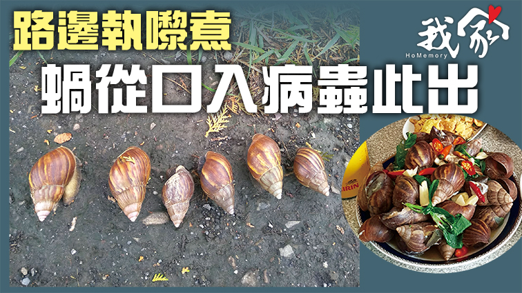 (大埔北區)路邊執嚟煮 蝸從口入病蟲此出