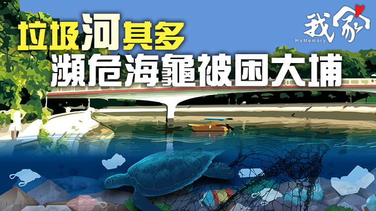 (大埔北區)垃圾河其多 瀕危海龜被困大埔