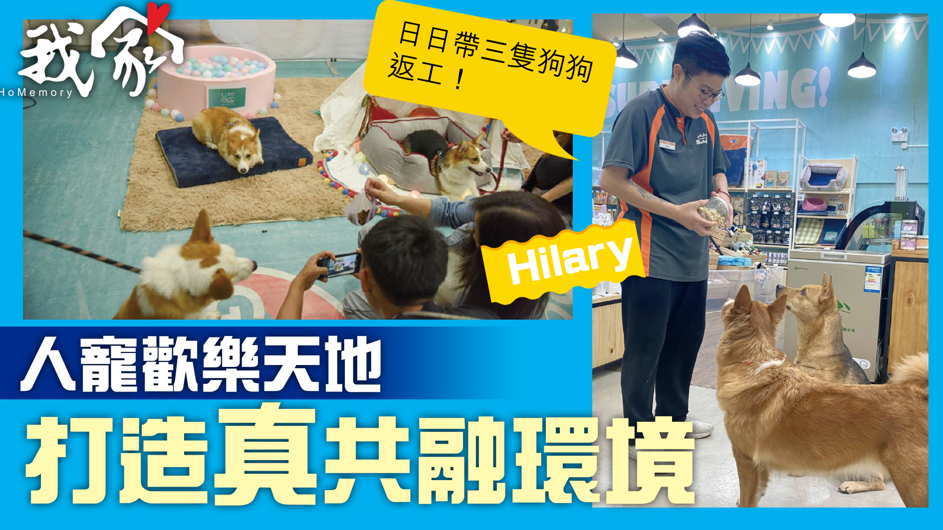 (西貢)人寵歡樂天地 打造真共融環境