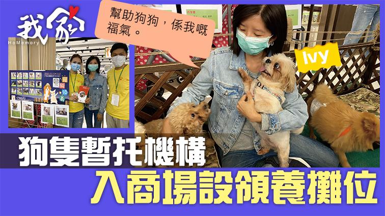 (屯門元朗)狗隻暫托機構 入商場設領養攤位