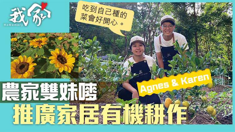 (屯門元朗)農家雙妺嘜推廣家居有機耕作