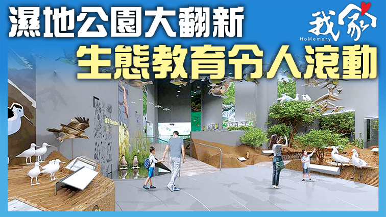 (屯門元朗)濕地公園大翻新 生態教育令人滾動