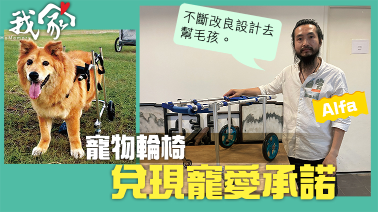 (荃灣葵青離島)寵物輪椅 兌現寵愛承諾