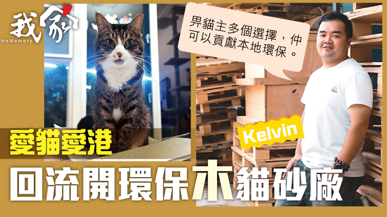 (荃灣葵青離島)愛貓愛港 回流開環保木貓砂廠