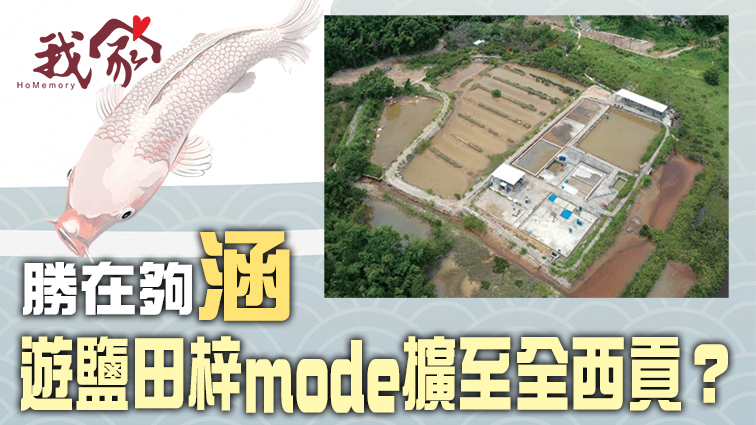 (西貢)勝在夠涵 遊鹽田梓mode擴至全西貢？