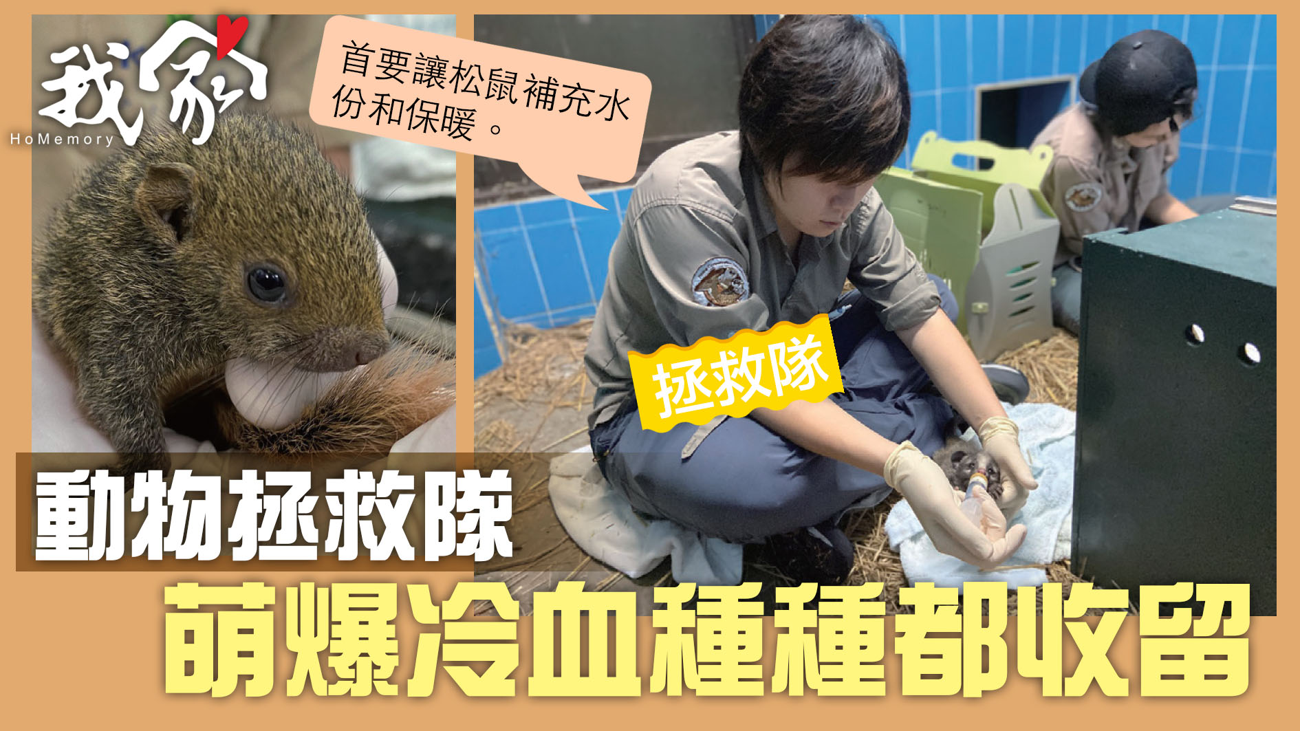 (大埔北區)動物拯救隊 萌爆冷血種種都收留