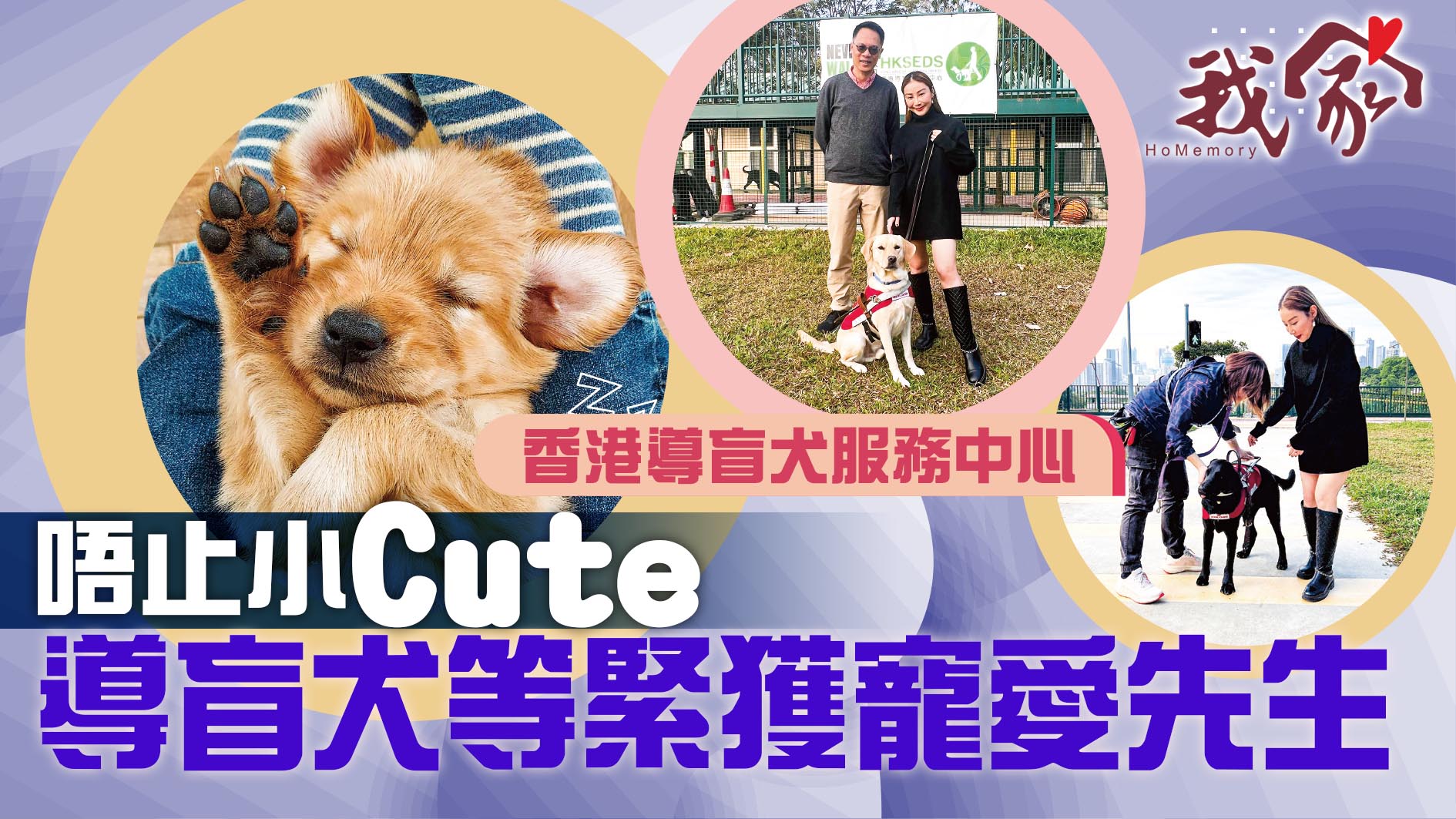 (大埔北區)唔止小Cute 導盲犬等緊獲寵愛先生