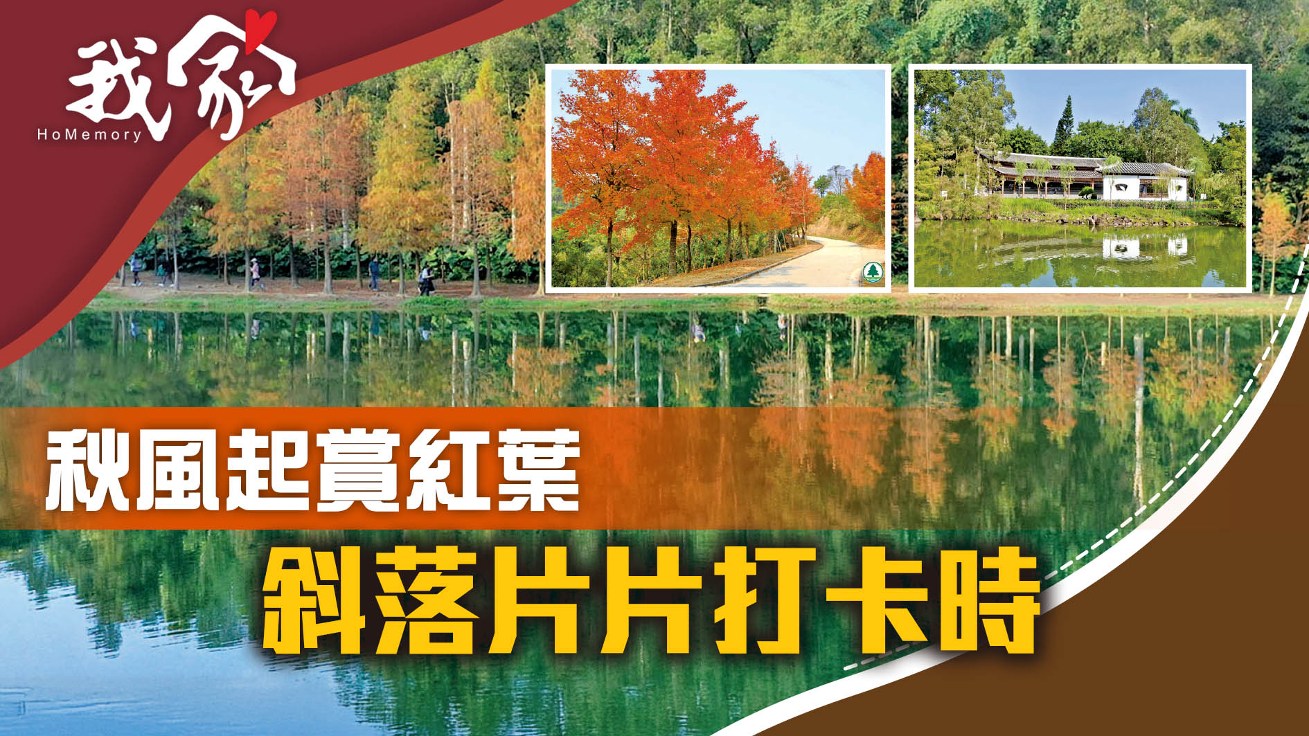 秋風起賞紅葉 斜落片片打卡時