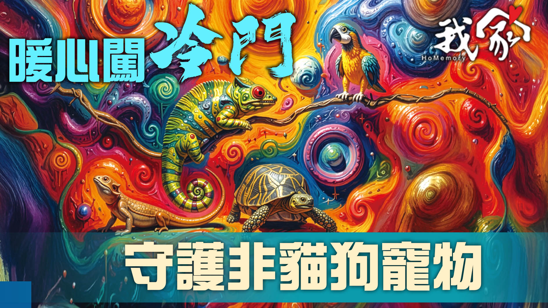 暖心闖冷門  守護非貓狗寵物