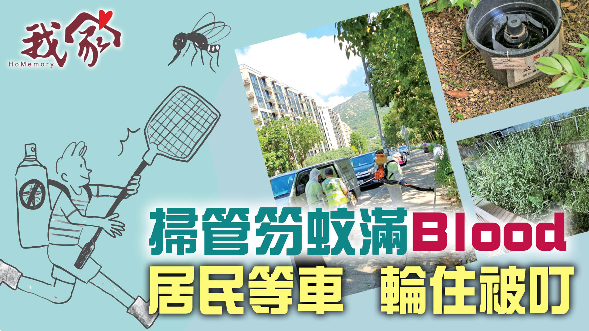 (屯門元朗天水圍)掃管笏蚊滿Blood  居民等車  輪住被叮