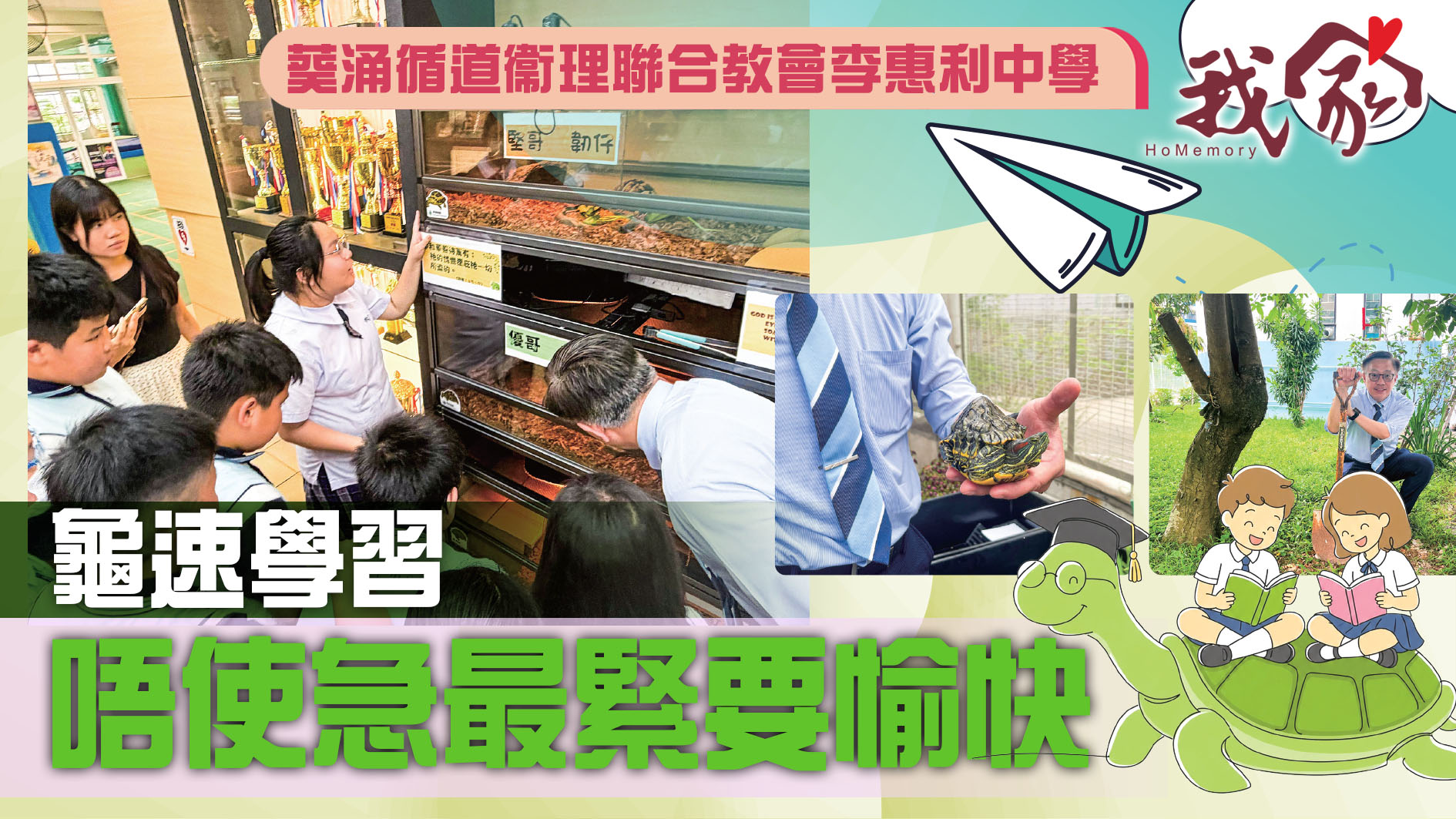 (荃灣葵青離島)龜速學習  唔使急最緊要愉快