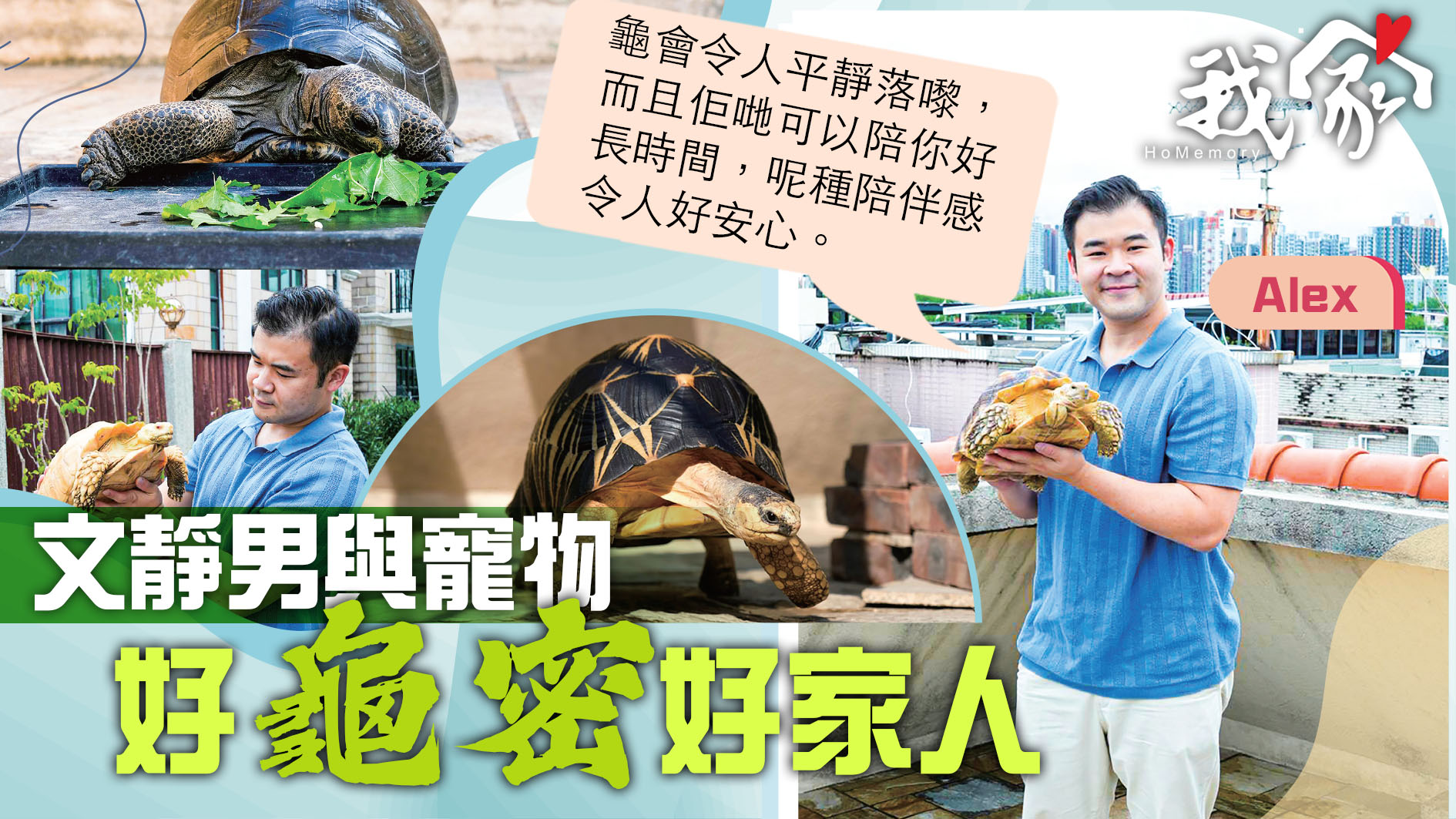 (屯門元朗)文靜男與寵物  好「龜密」好家人