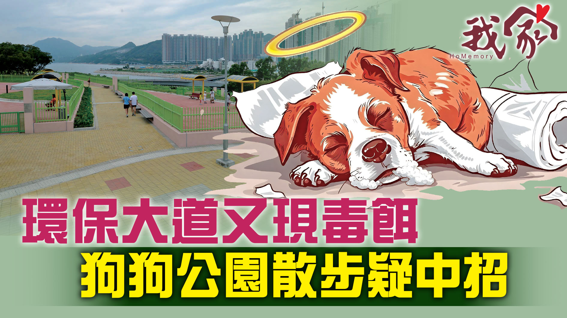(西貢)環保大道又現毒餌  狗狗公園散步疑中...
