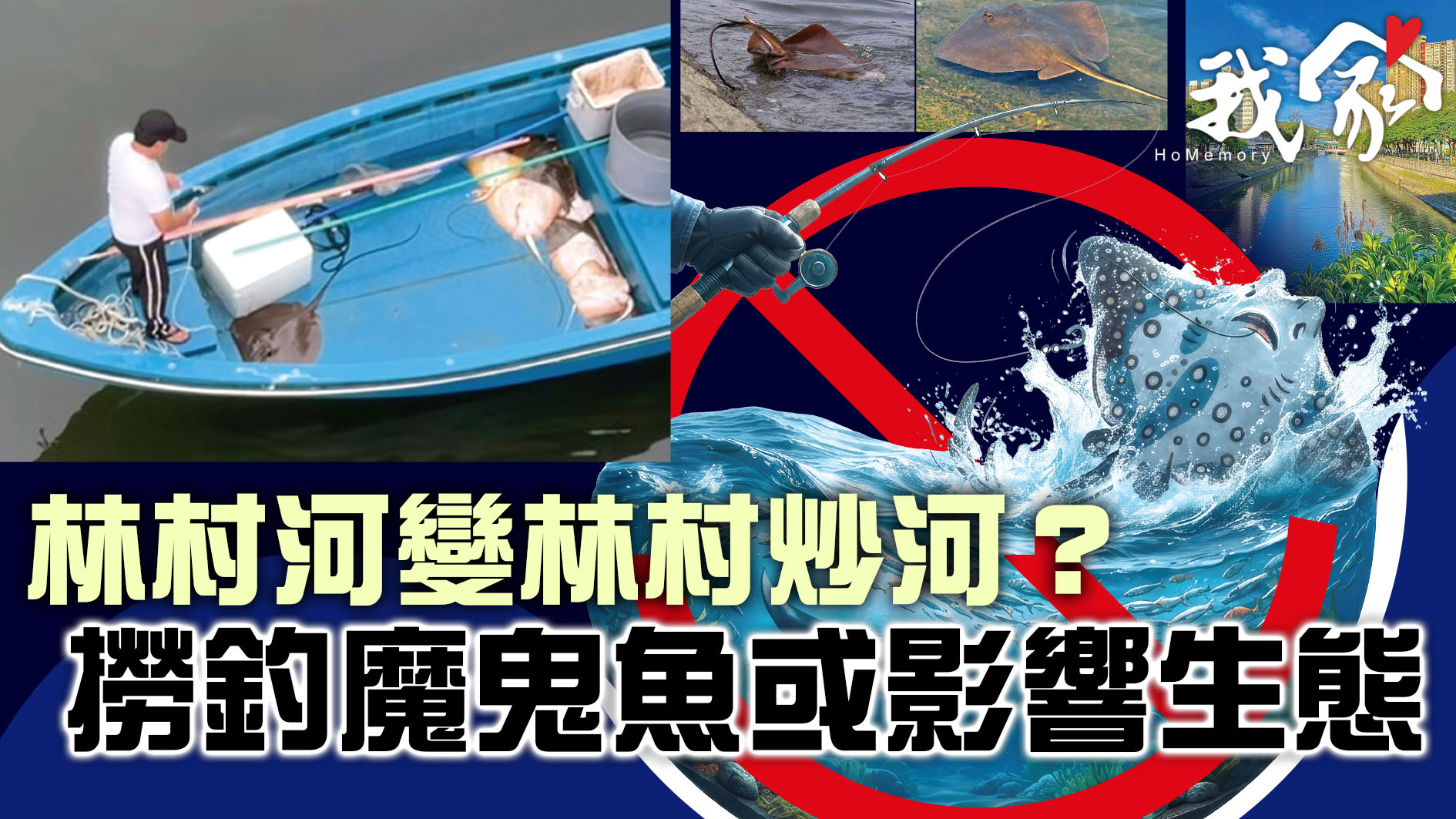 (大埔北區)林村河變林村炒河？撈釣魔鬼魚或影響生態