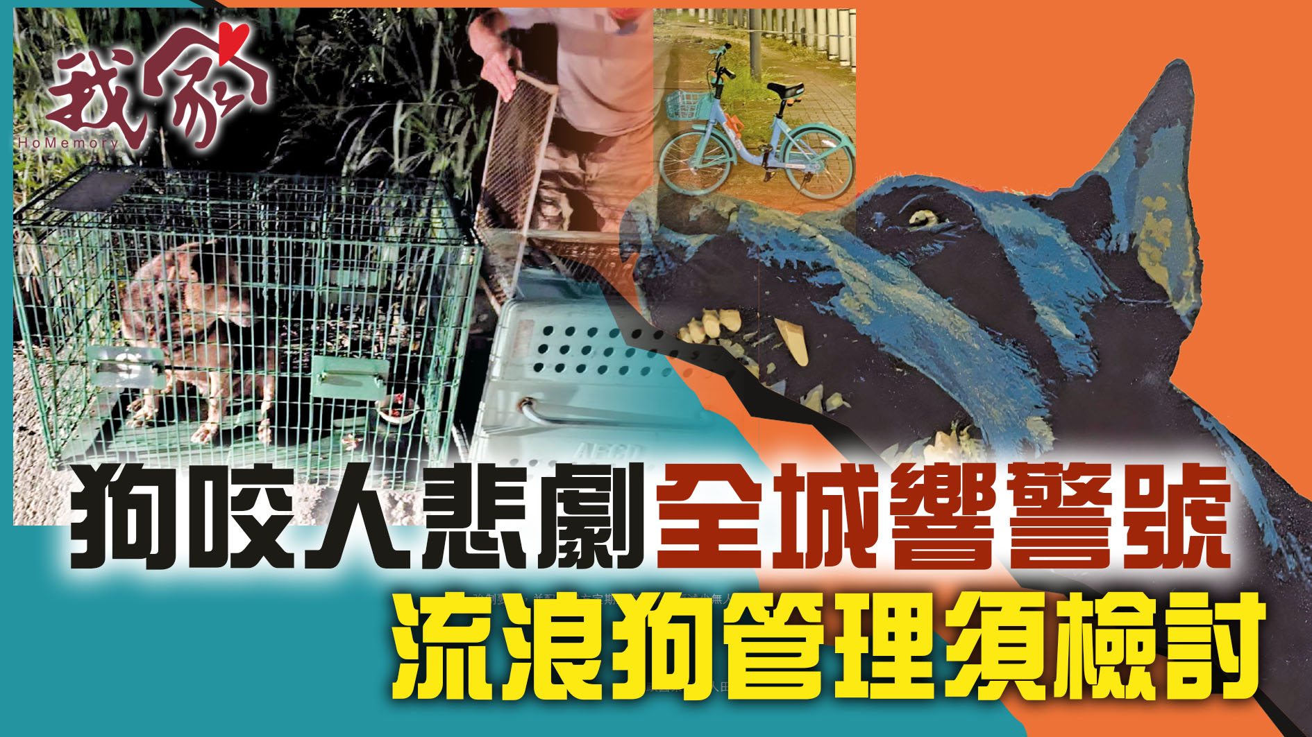 (屯門元朗天水圍)狗咬人悲劇全城響警號  流...