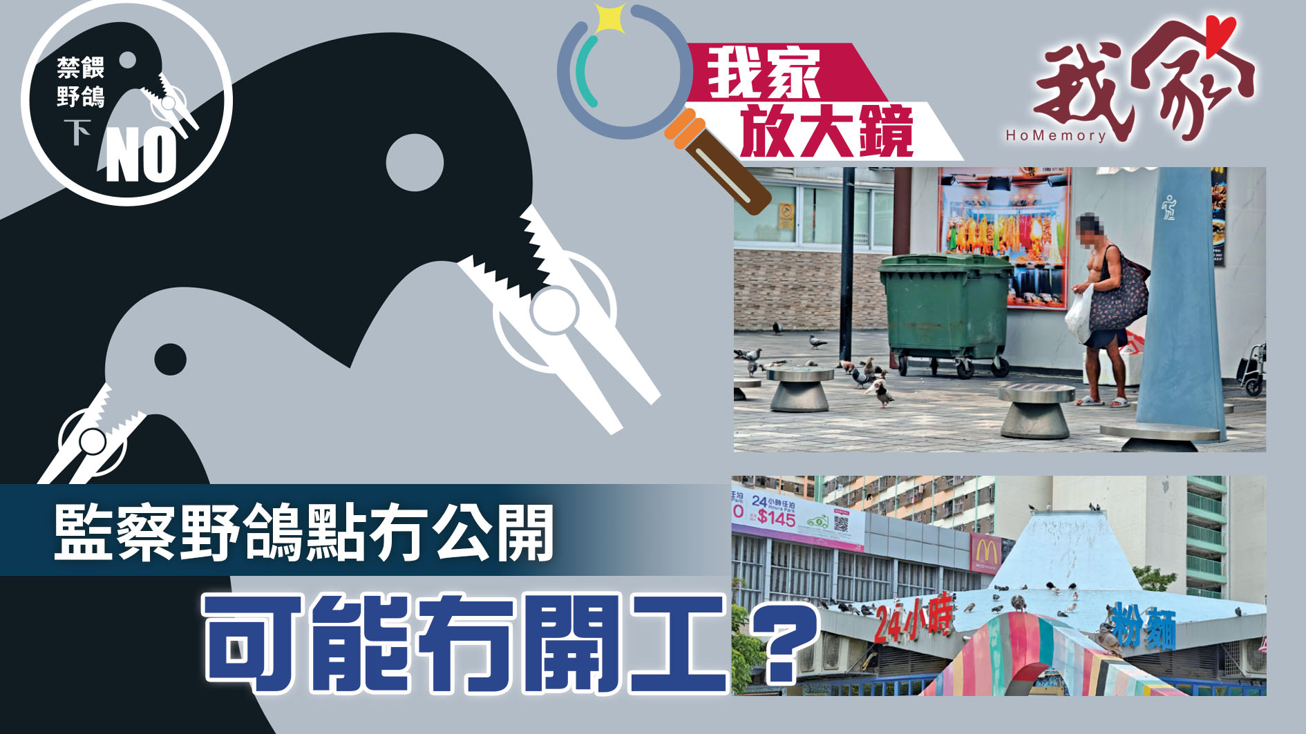 監察野鴿點冇公開 可能冇開工？